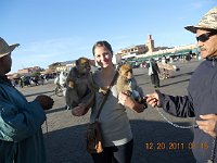 2011-12 Marrakesh (17) KC and her Monkeys