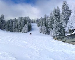 Mt. Lemmon Mt Lemmon Ski Valley. I haven't skied here. (photo courtesy of the internet)