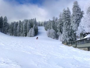 Mt Lemmon 2020 Mt Lemmon Ski Valley A small, 1 lift, ungroomed, ski resort. But it is the southernmost ski resort in the US. On...