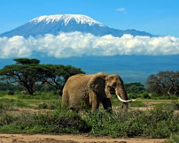 Mt Kili 2015 - Mt Kilimanjaro. Photo courtesy of the Internet